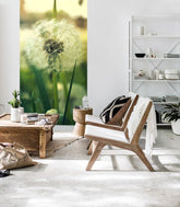 Fototapeta na stenu + lepidlo Zadarmo / KVETY | rôzne rozmery